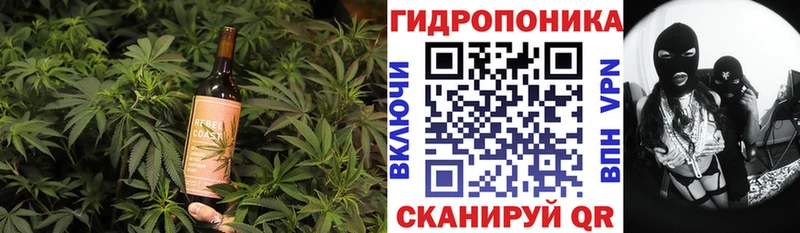 магазин  наркотиков  Новоуральск  Canna-Cookies конопля 
