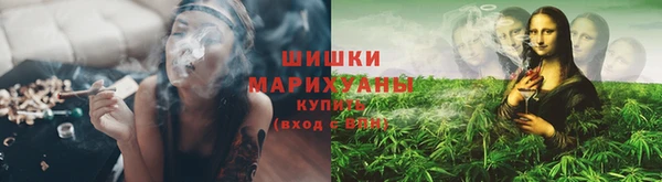 бошки Надым