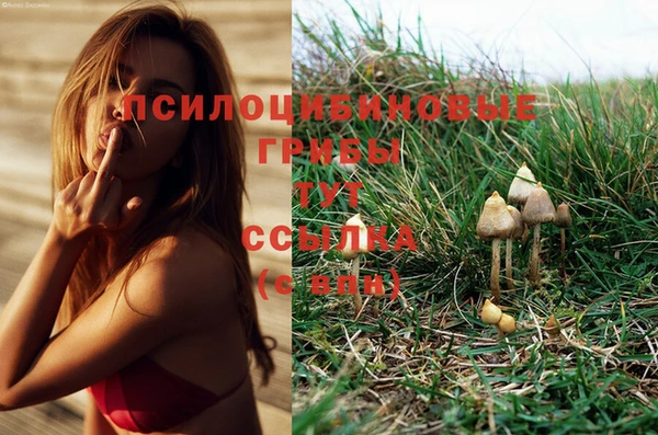 PSILOCYBIN Абинск