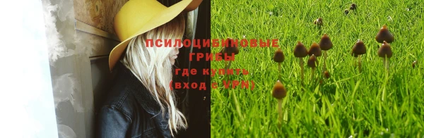 Альфа ПВП Абдулино