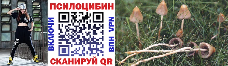 KRAKEN вход  Новоуральск  Псилоцибиновые грибы GOLDEN TEACHER  купить  